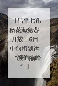 昌平七孔桥花海免费开放，6月中旬将到达“颜值巅峰”