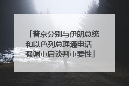 普京分别与伊朗总统和以色列总理通电话 强调重启谈判重要性