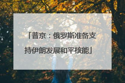 普京：俄罗斯准备支持伊朗发展和平核能