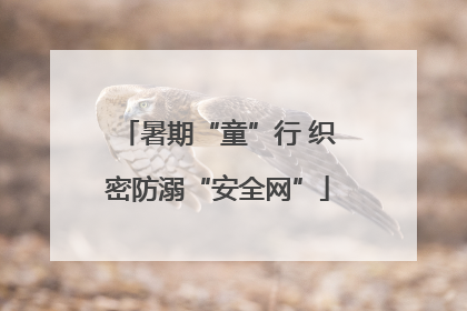 暑期“童”行 织密防溺“安全网”