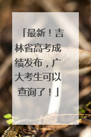 最新！吉林省高考成绩发布，广大考生可以查询了！
