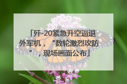 歼-20紧急升空逼退外军机，“数轮激烈攻防”，现场画面公布