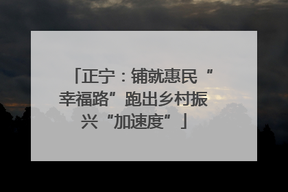 正宁：铺就惠民“幸福路”跑出乡村振兴“加速度”