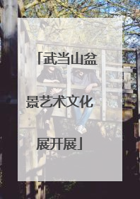 武当山盆景艺术文化展开展