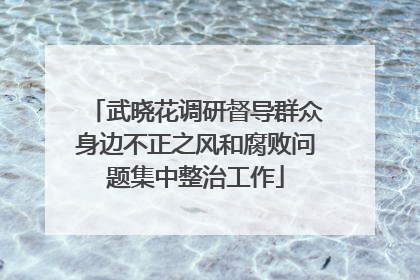 武晓花调研督导群众身边不正之风和腐败问题集中整治工作