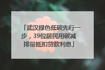 武汉绿色低碳先行一步，39位居民用碳减排量抵扣贷款利息