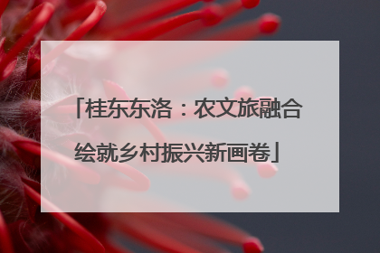 桂东东洛：农文旅融合绘就乡村振兴新画卷