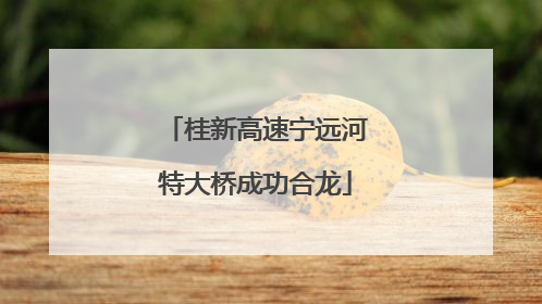 桂新高速宁远河特大桥成功合龙