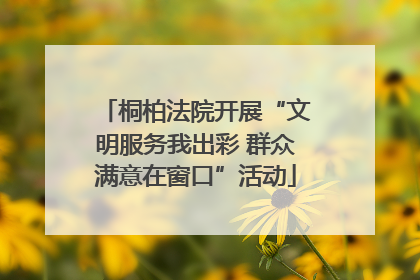 桐柏法院开展“文明服务我出彩 群众满意在窗口”活动