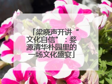 梁晓声开讲“文化自信”：婺源清华朴园里的一场文化盛宴