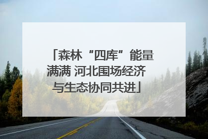 森林“四库”能量满满 河北围场经济与生态协同共进