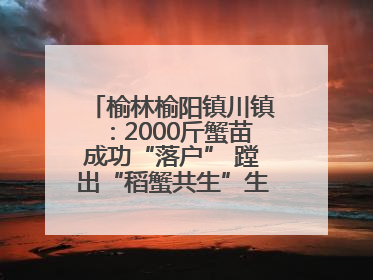 榆林榆阳镇川镇：2000斤蟹苗成功“落户” 蹚出“稻蟹共生”生态种养新路径