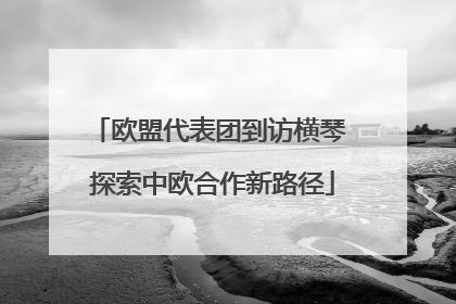 欧盟代表团到访横琴 探索中欧合作新路径