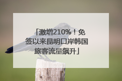 激增210%！免签以来昆明口岸韩国旅客流量飙升