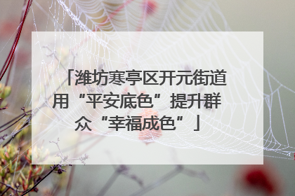 潍坊寒亭区开元街道用“平安底色”提升群众“幸福成色”