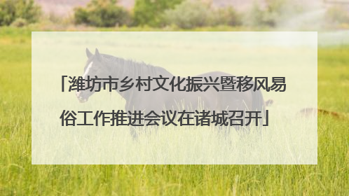 潍坊市乡村文化振兴暨移风易俗工作推进会议在诸城召开