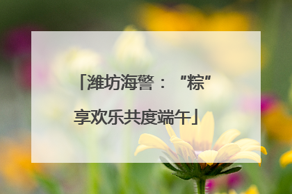 潍坊海警：“粽”享欢乐共度端午