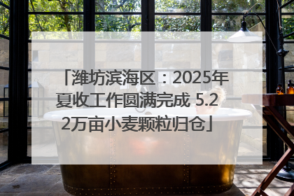 潍坊滨海区：2025年夏收工作圆满完成 5.22万亩小麦颗粒归仓