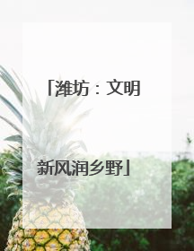 潍坊：文明新风润乡野