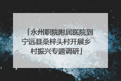 永州职院附属医院到宁远县桑梓头村开展乡村振兴专题调研