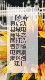 永春县启动县域电商生态圈打造暨跨境电商集聚区创建