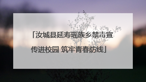汝城县延寿瑶族乡禁毒宣传进校园 筑牢青春防线