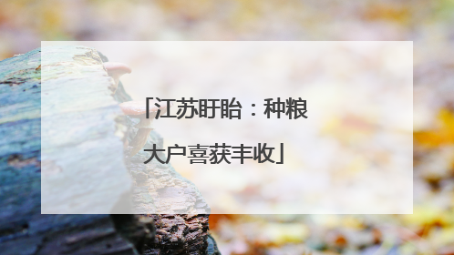 江苏盱眙：种粮大户喜获丰收
