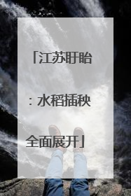 江苏盱眙：水稻插秧全面展开