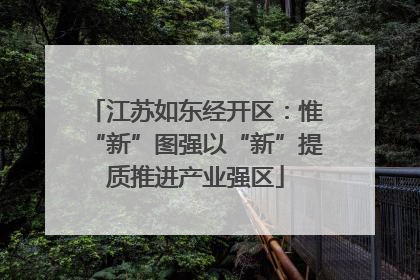 江苏如东经开区：惟“新”图强以“新”提质推进产业强区