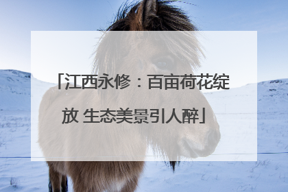 江西永修：百亩荷花绽放 生态美景引人醉