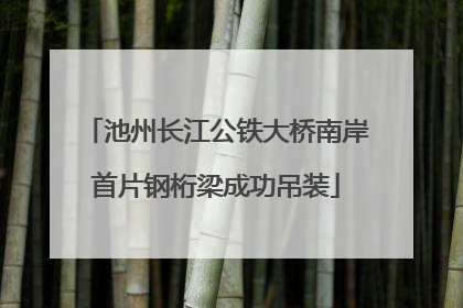 池州长江公铁大桥南岸首片钢桁梁成功吊装