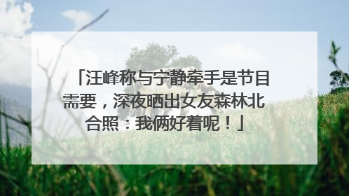 汪峰称与宁静牵手是节目需要，深夜晒出女友森林北合照：我俩好着呢！