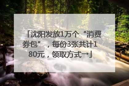 沈阳发放1万个“消费券包”，每份3张共计180元，领取方式→
