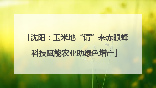 沈阳：玉米地“请”来赤眼蜂 科技赋能农业助绿色增产
