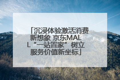 沉浸体验激活消费新想象 京东MALL“一站置家”树立服务价值新坐标