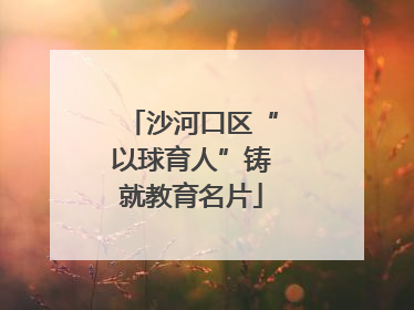 沙河口区“以球育人”铸就教育名片