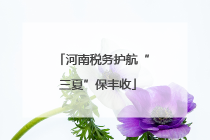 河南税务护航“三夏”保丰收