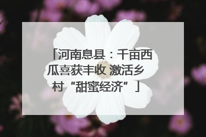 河南息县：千亩西瓜喜获丰收 激活乡村“甜蜜经济”