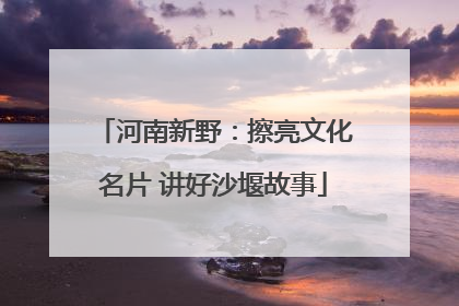 河南新野：擦亮文化名片 讲好沙堰故事