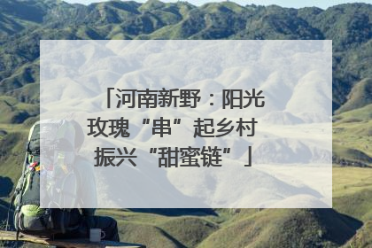 河南新野：阳光玫瑰“串”起乡村振兴“甜蜜链”
