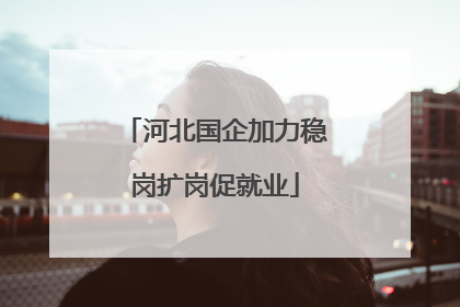 河北国企加力稳岗扩岗促就业