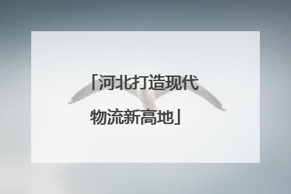 河北打造现代物流新高地