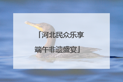 河北民众乐享端午非遗盛宴