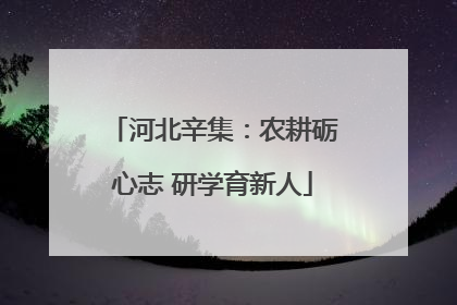 河北辛集：农耕砺心志 研学育新人