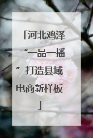 河北鸡泽“一品一播”打造县域电商新样板