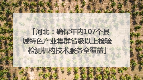 河北：确保年内107个县域特色产业集群省级以上检验检测机构技术服务全覆盖
