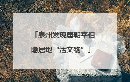 泉州发现唐朝宰相隐居地“活文物”