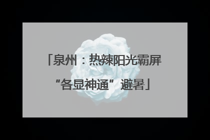 泉州：热辣阳光霸屏 “各显神通”避暑