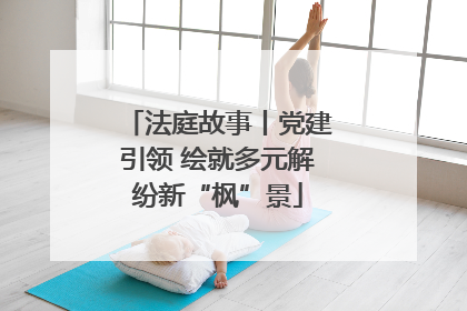 法庭故事丨党建引领 绘就多元解纷新“枫”景
