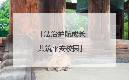 法治护航成长 共筑平安校园